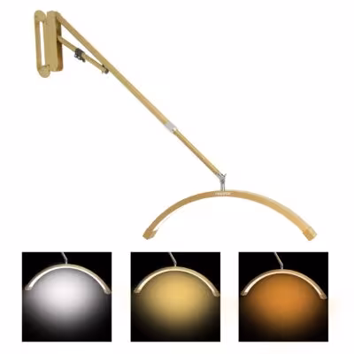 Mango largo de pie para montaje de pared de media luna 40W lámpara LED para la belleza
