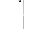 noir