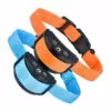 orange-blue-collar