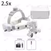 2-5x-eu-plug