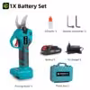 1xbattery-set