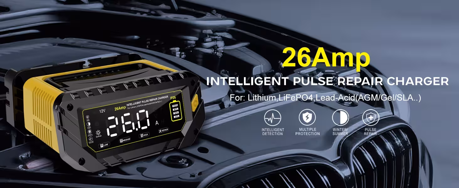 automobilių akumuliatoriaus įkroviklis