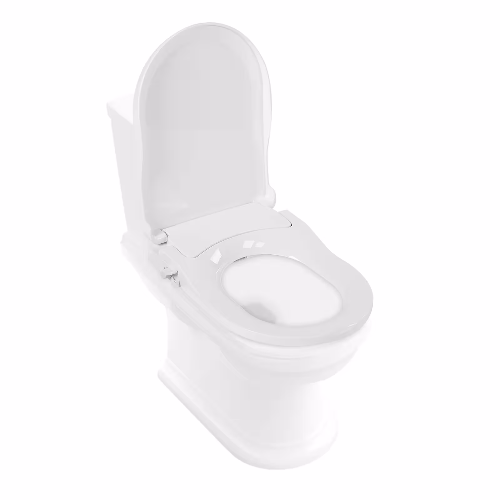bidet tualeto sėdynė