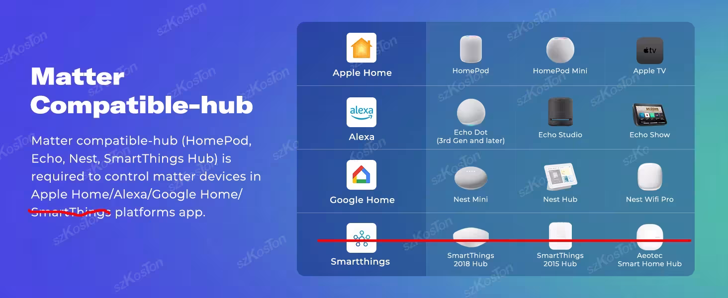 Matière WiFi Smart Switch