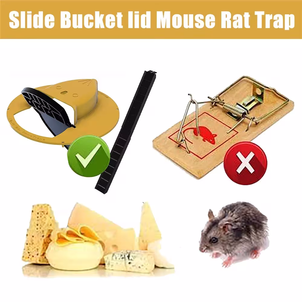automatic mouse trap