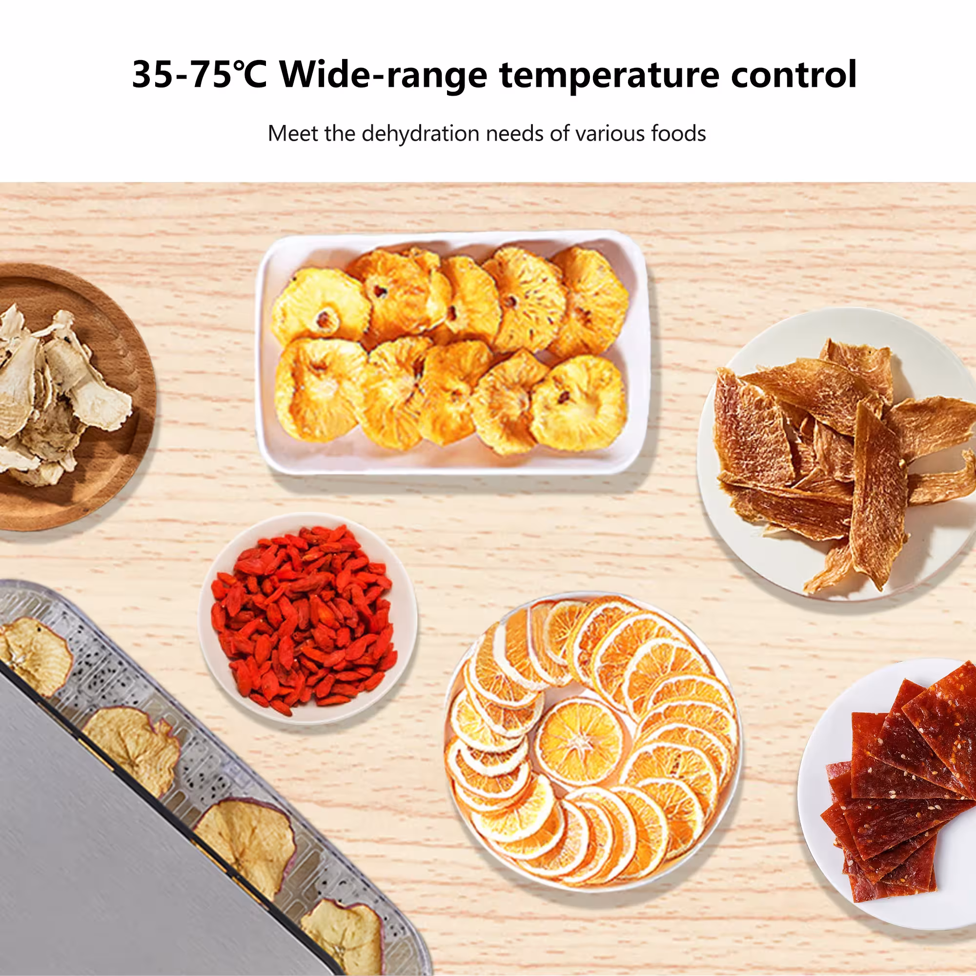 Food dehydrator with control