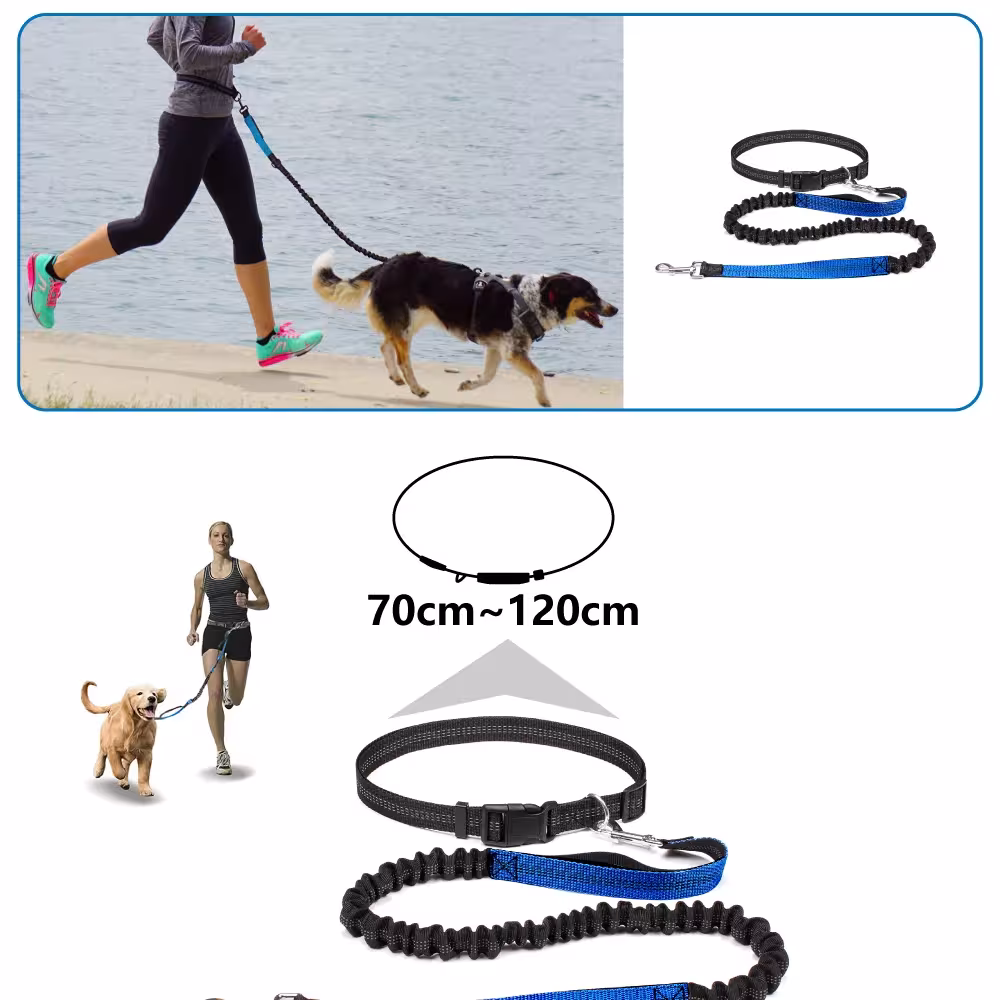 laisse mains libres pour chien