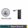 black-short-b