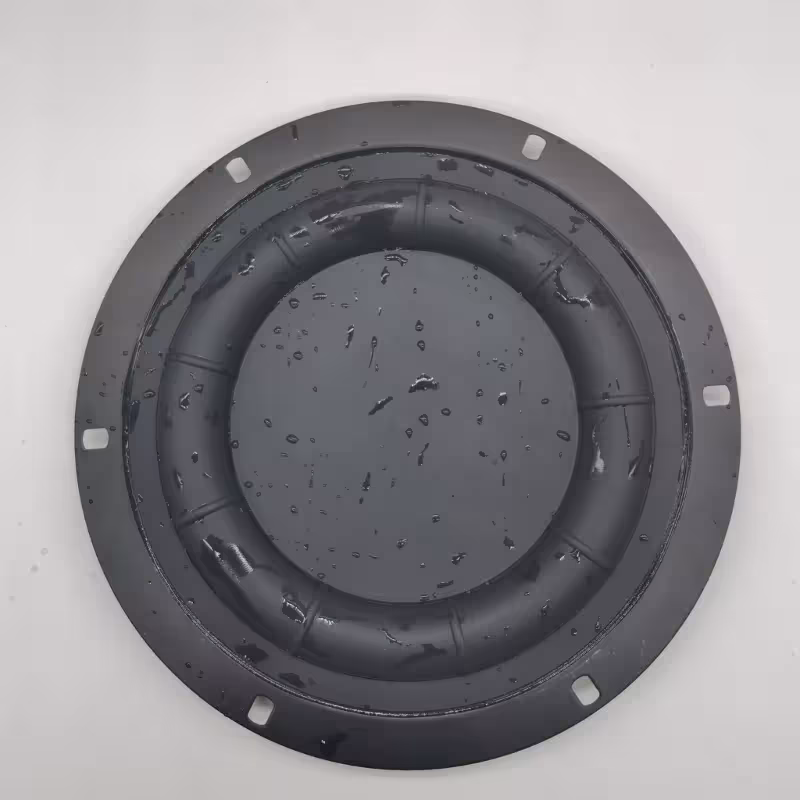 membrane du diffuseur de basses