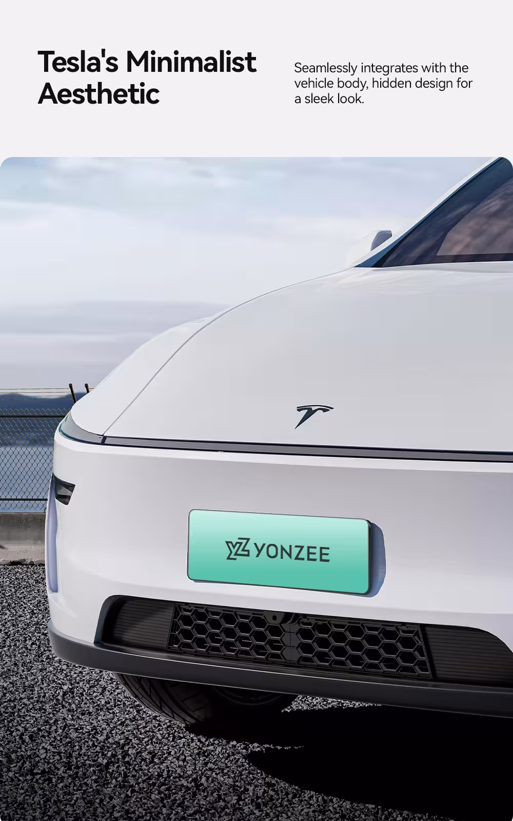 vabzdžių apsaugos tinklas Tesla