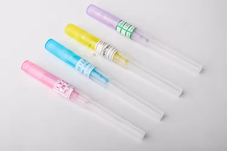 IV cannula catheter veterinary