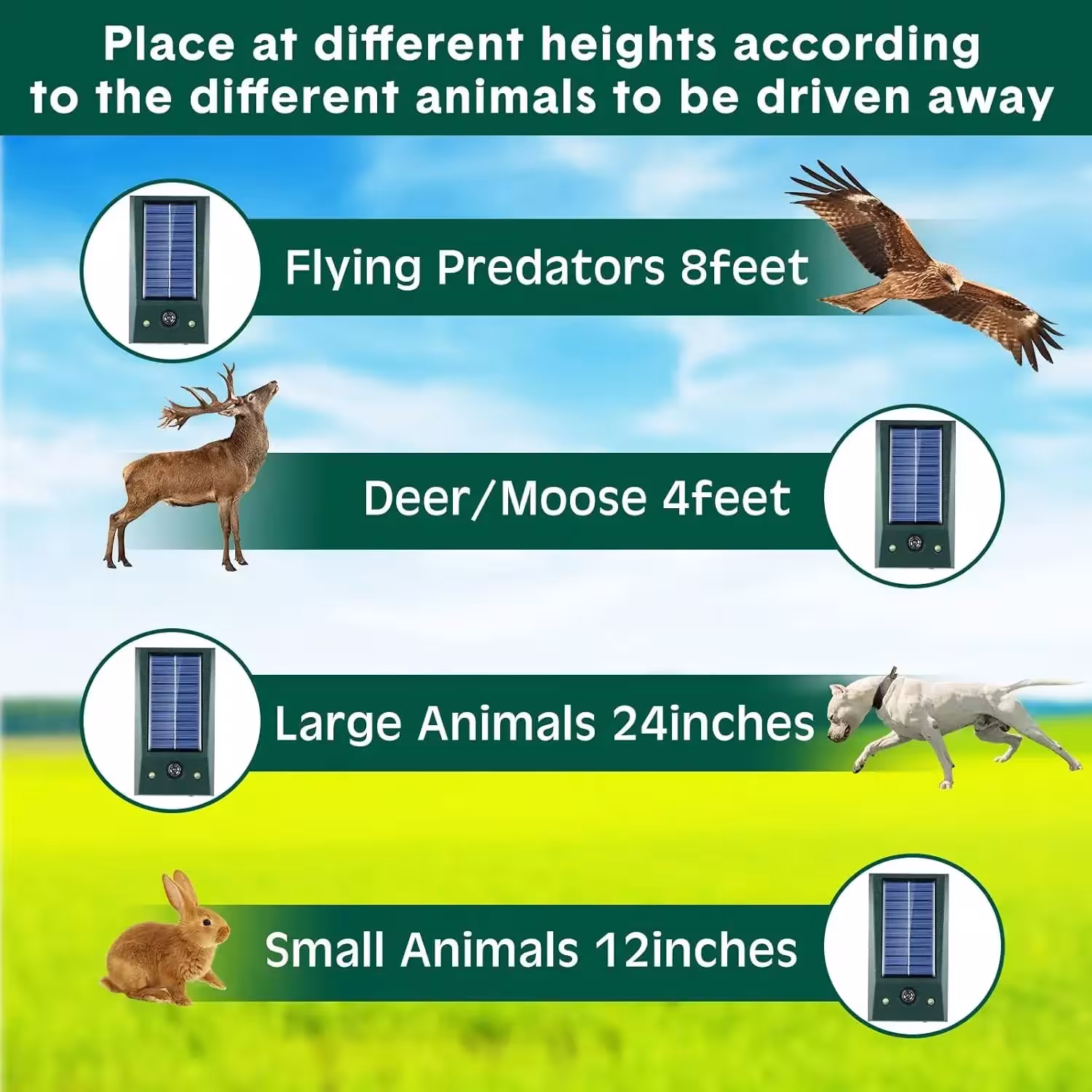ultrasonic animal repellent