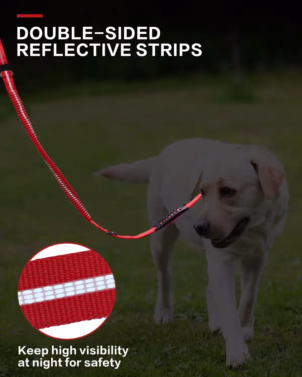 guinzaglio del cane tattico