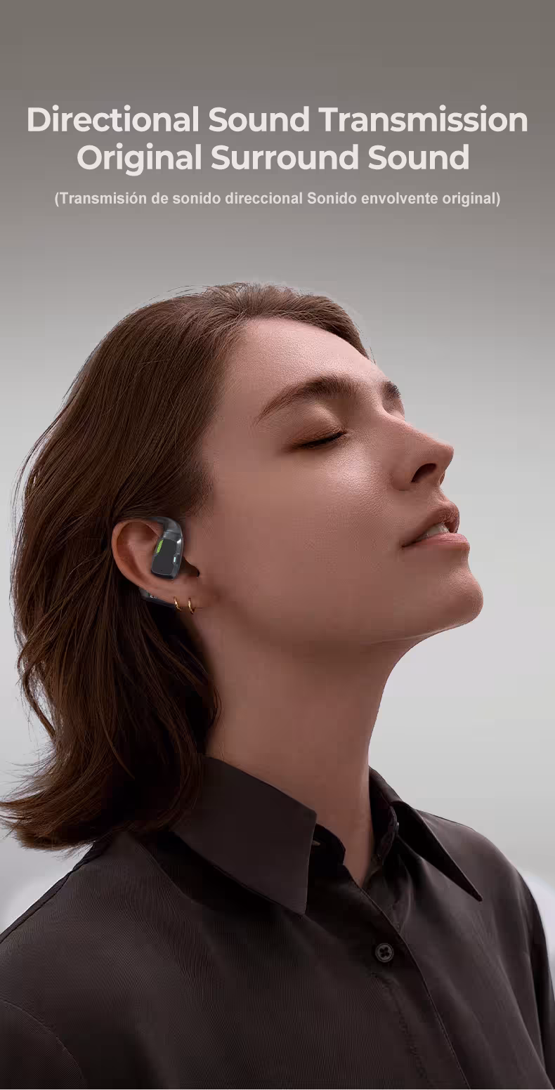 AI vertėjas aušinės Bluetooth