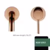polish-rose-gold-260
