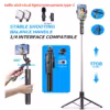 option-3