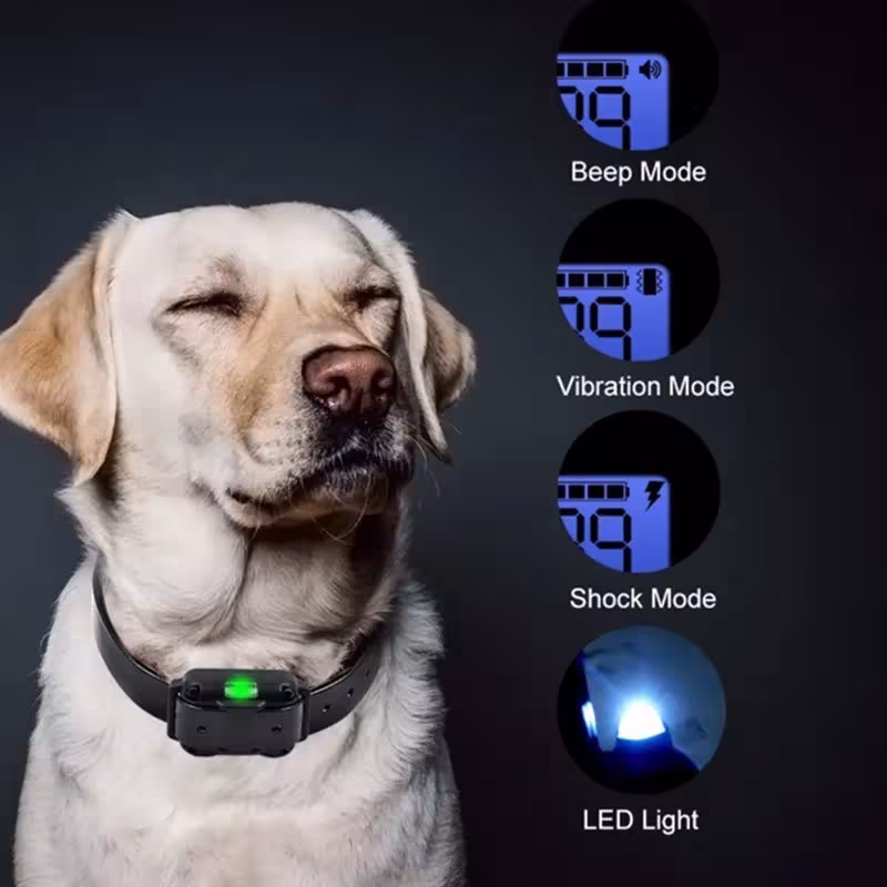 collare di allenamento per cani elettrico