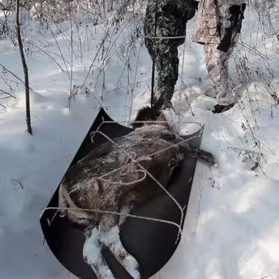 Universal Use Side Schlitten Warze für die Jagd