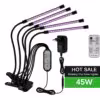 dc12v-45w