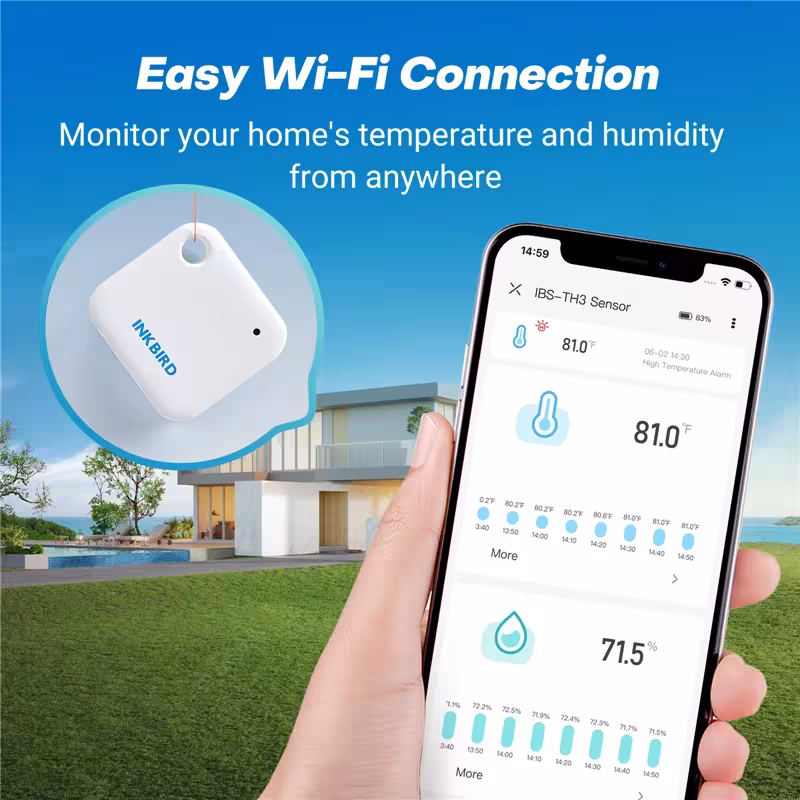 WiFi termometras higrometras