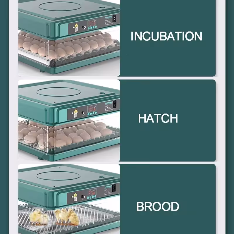 incubadora automática de huevos de gallina