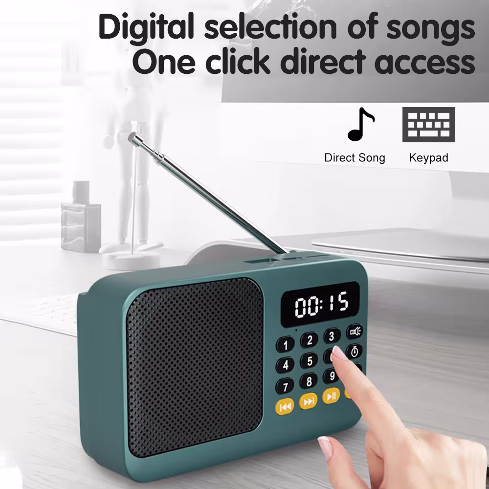 portable FM radio Bluetooth