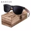barcur-polarized