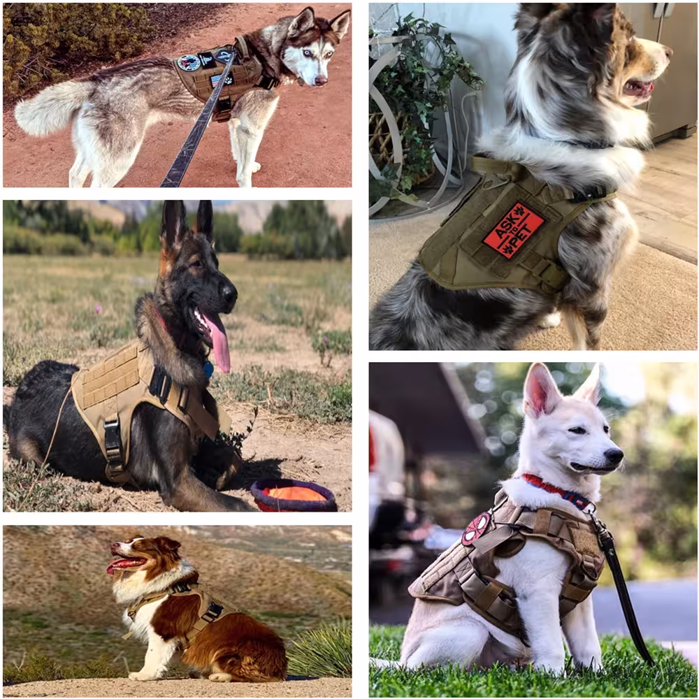 tactical dog gear