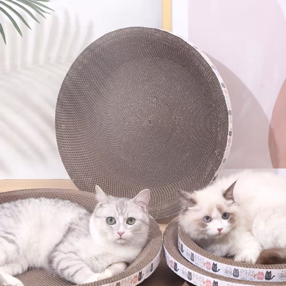 carton drapé pour chats