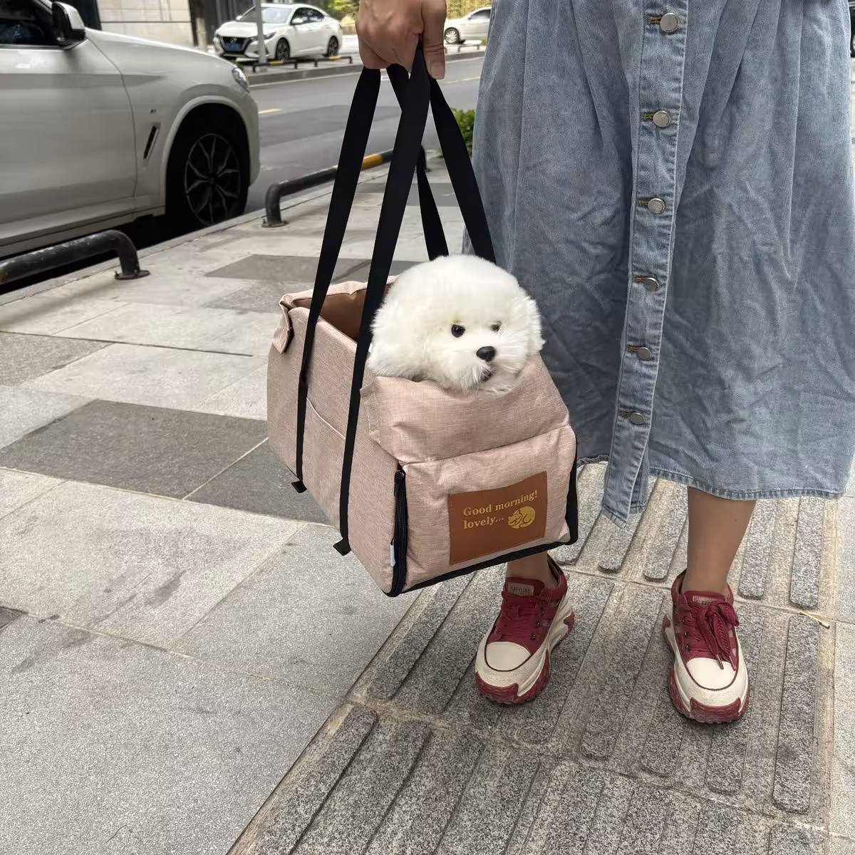 siège auto pour chien