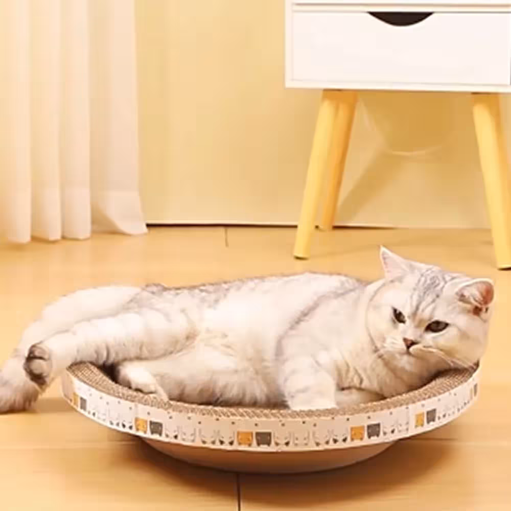 carton drapé pour chats