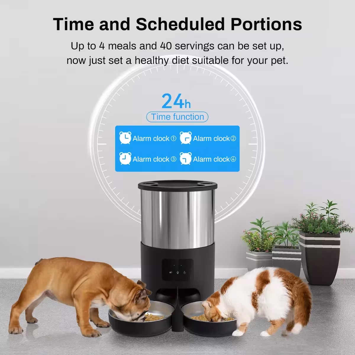 Répéteur WiFi pour animaux de compagnie