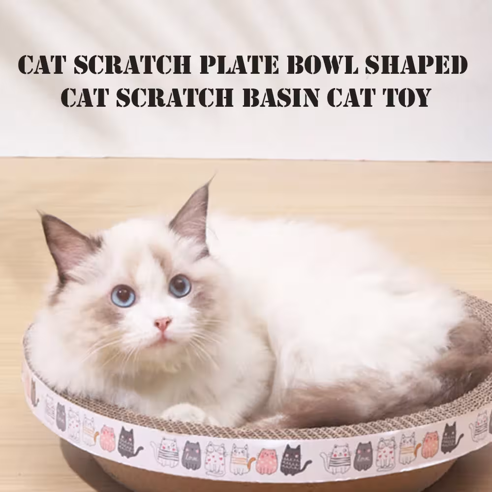 carton drapé pour chats