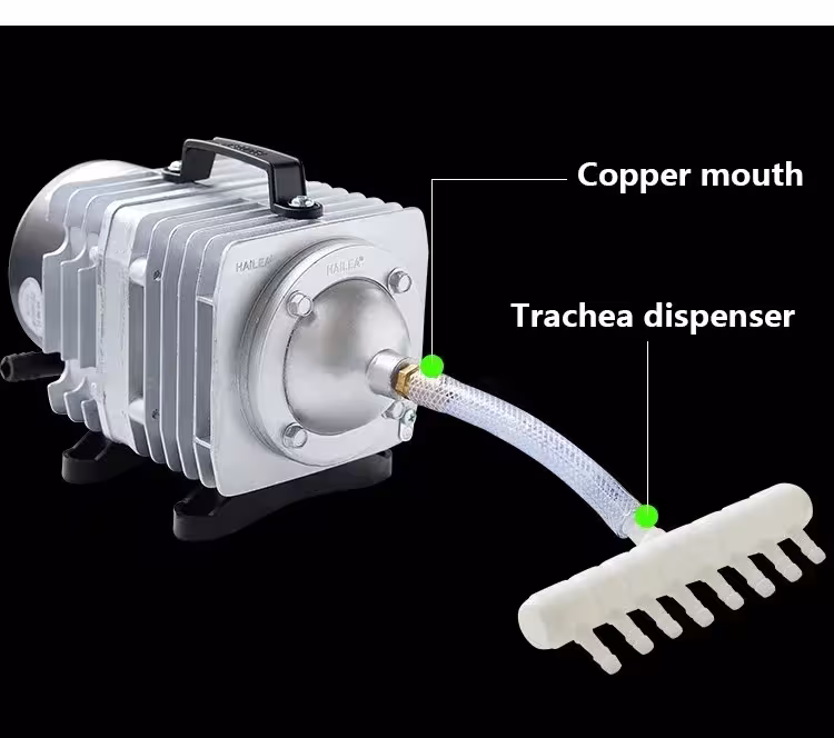 compresseur d'air pour poissons
