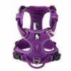 pourpre