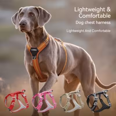 Guinzaglio per cani con striscia luminosa e corda resistente per le passeggiate