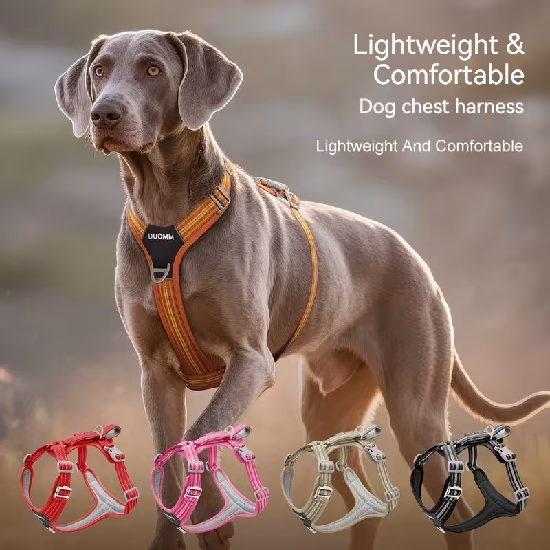 Guinzaglio per cani con striscia luminosa e corda resistente per le passeggiate