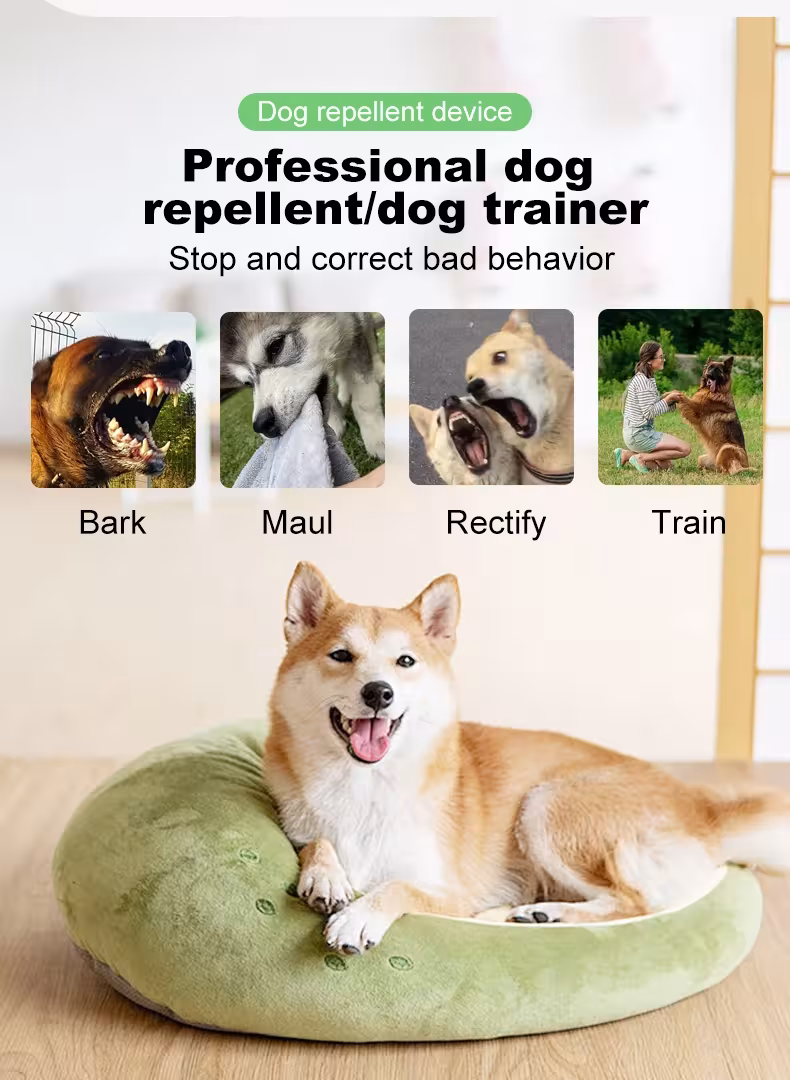 répulsif anti-aboiements de chiens