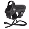 black-harness-leash