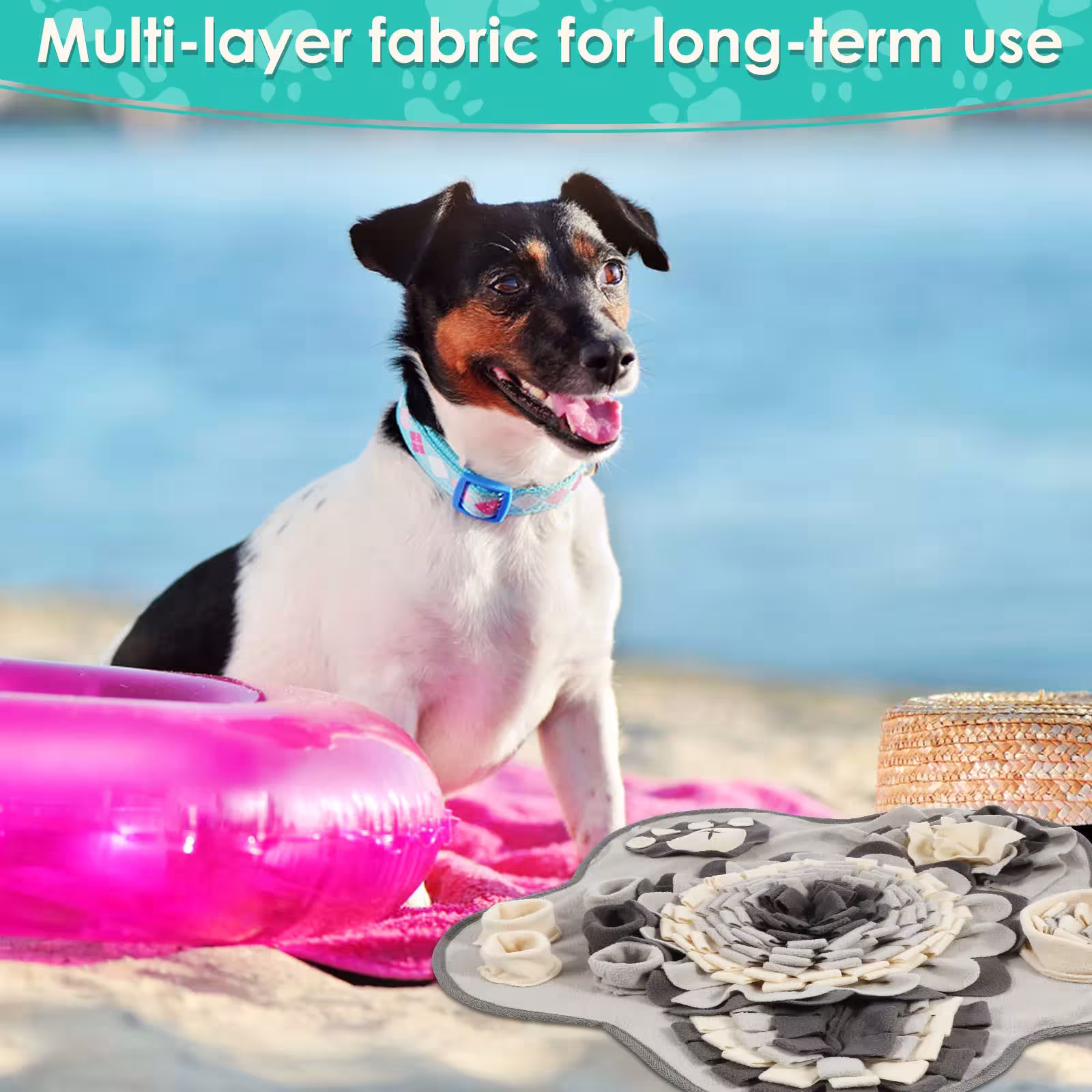 dog sniffing mat