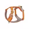 arancione