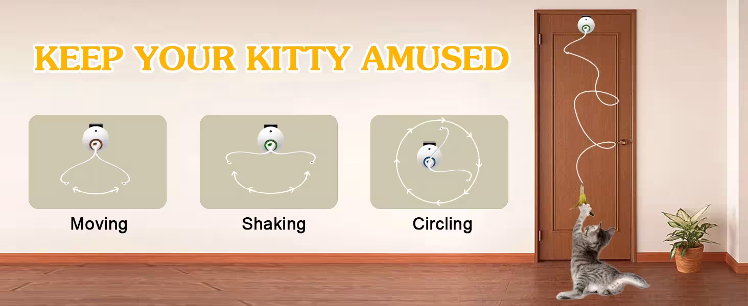interactive cat toy