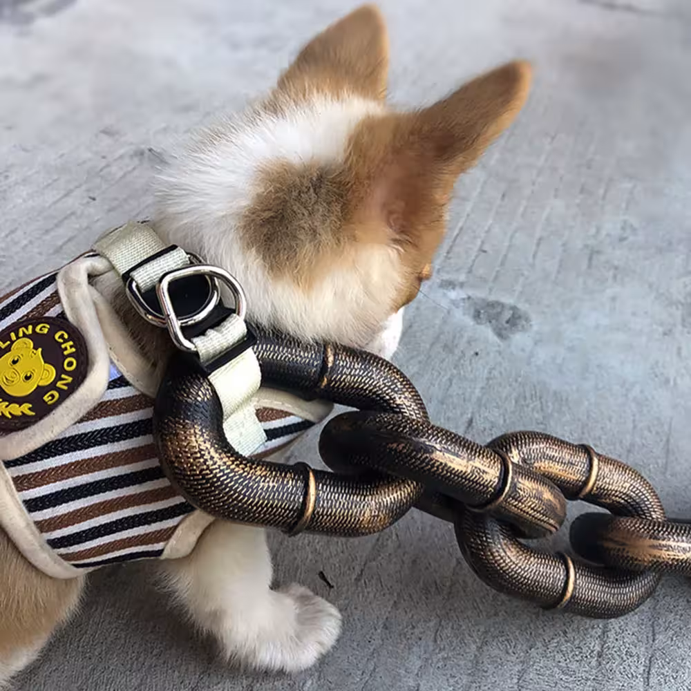 dog traction chain