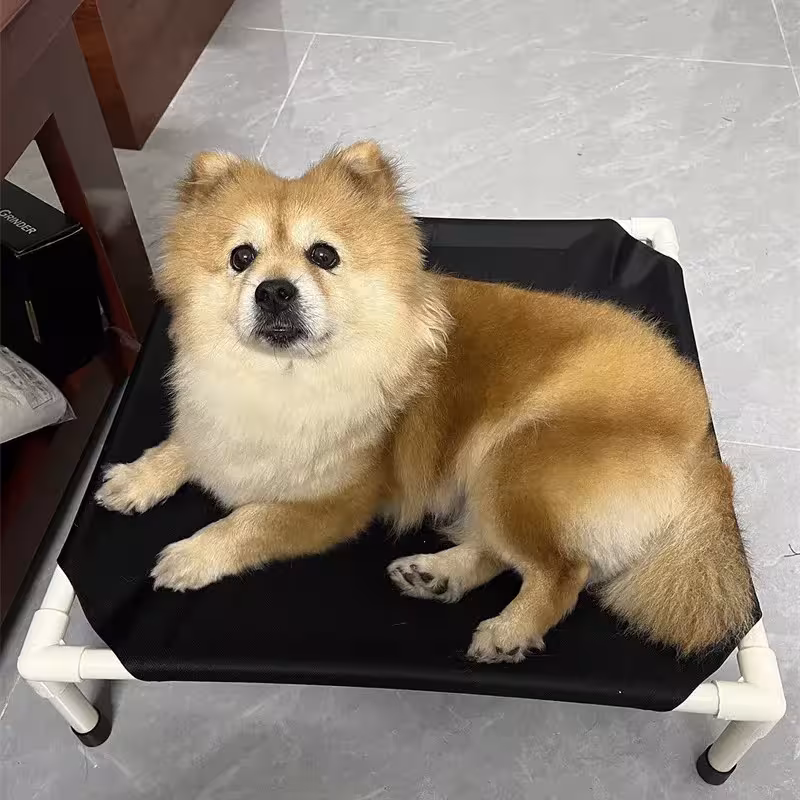 cuccia da gioco per cani
