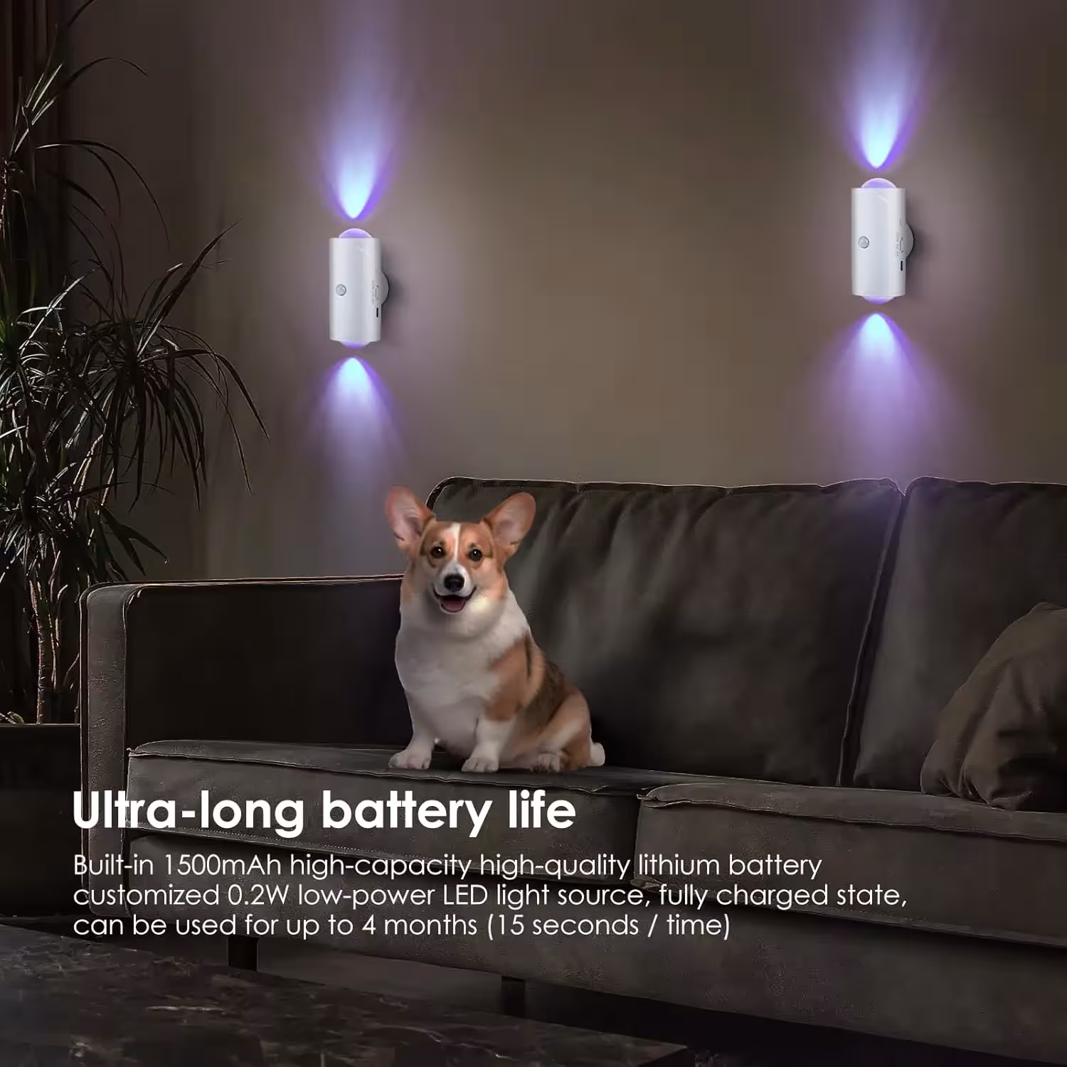 LED judesio jutiklio naktinė lempa