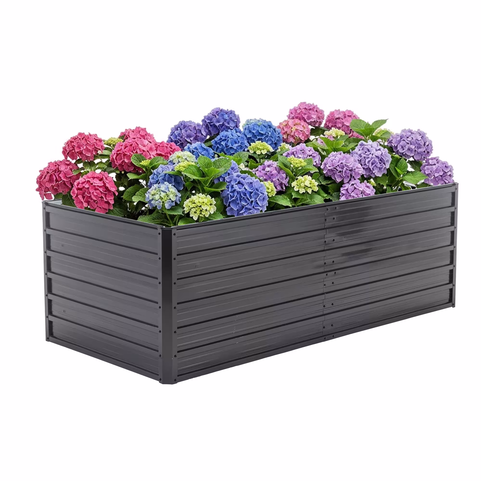 Plante en pot pour jardin