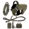 green-full-set