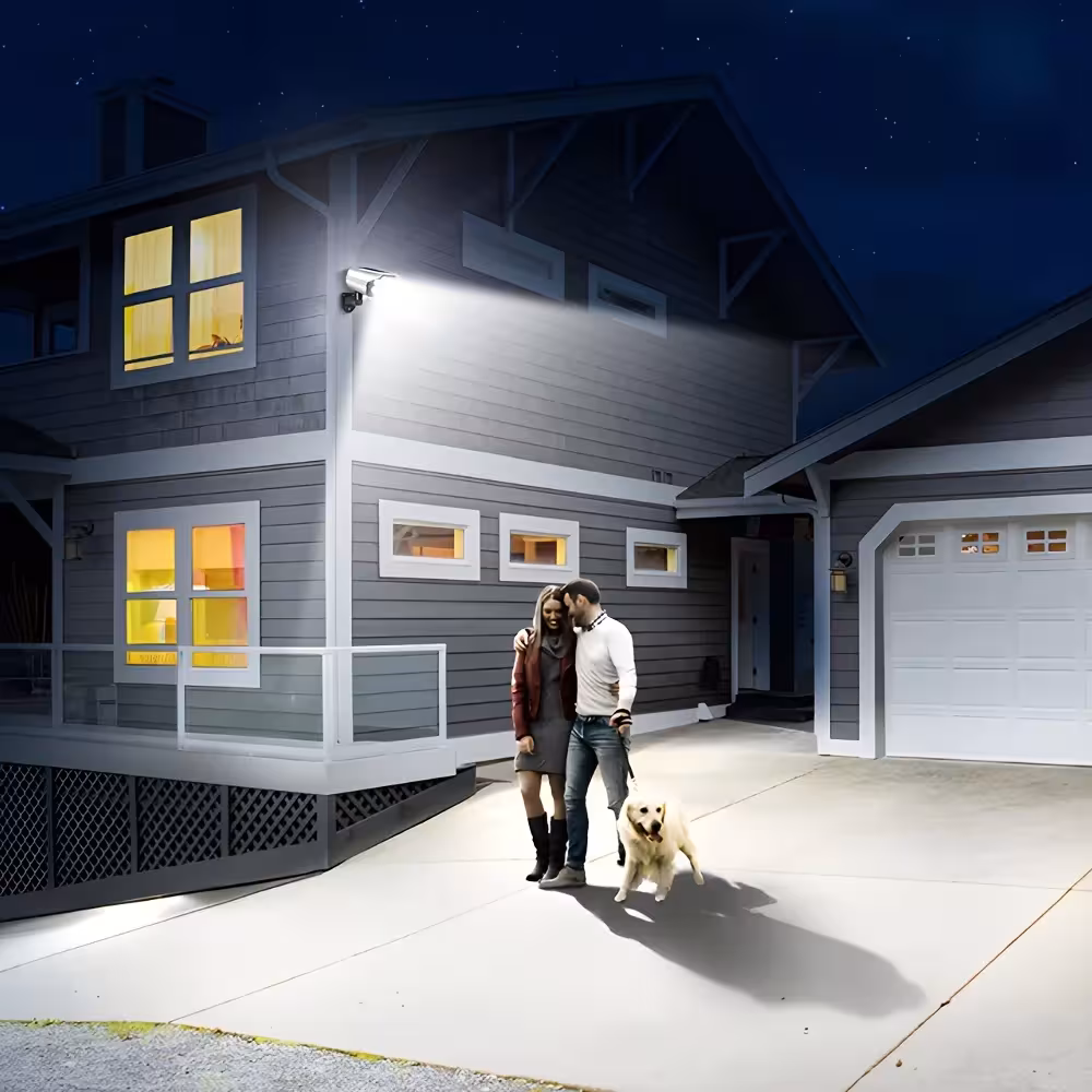 solar light with motion sensor