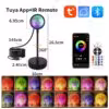 Large Tuya app size