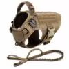brown harness leash